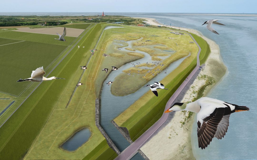 Ruim zes ton subsidie voor aanleg duiker in Polder Wassenaar